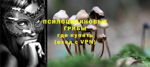 ГАЛЛЮЦИНОГЕННЫЕ ГРИБЫ Кукмор