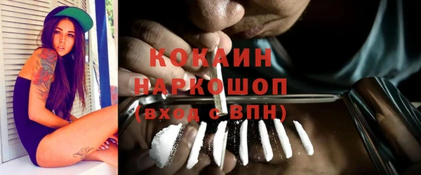 ГАЛЛЮЦИНОГЕННЫЕ ГРИБЫ Кукмор