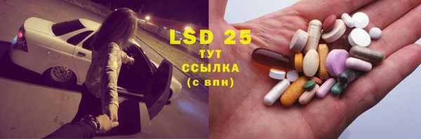 ГАЛЛЮЦИНОГЕННЫЕ ГРИБЫ Кукмор