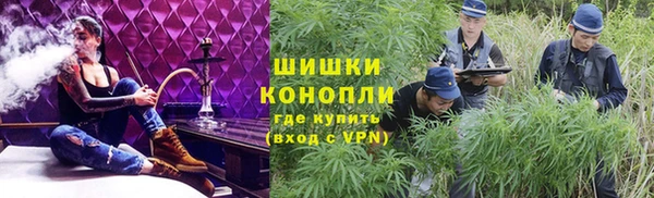ГАЛЛЮЦИНОГЕННЫЕ ГРИБЫ Кукмор