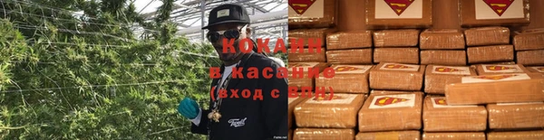 ГАЛЛЮЦИНОГЕННЫЕ ГРИБЫ Кукмор