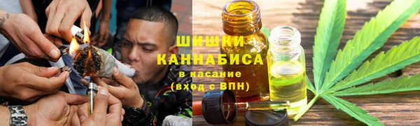 ГАЛЛЮЦИНОГЕННЫЕ ГРИБЫ Кукмор